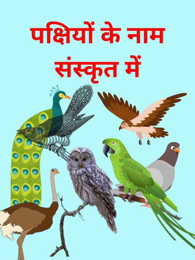 50-birds-name-in-sanskrit