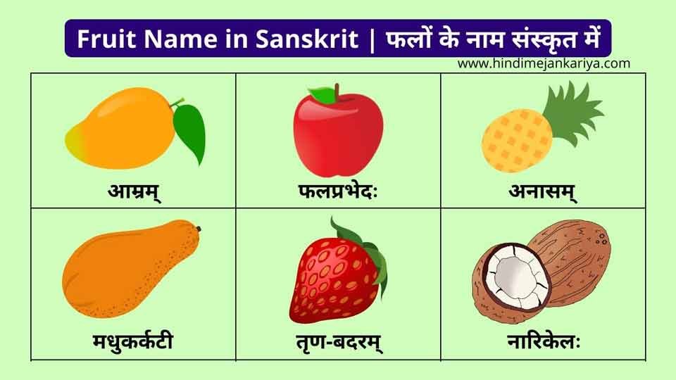 All Fruit Name in Sanskrit - फलों के नाम संस्कृत में