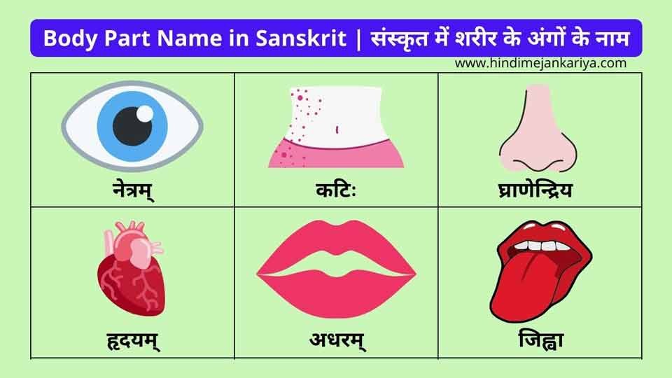 Body Part Name in Sanskrit - संस्कृत में शरीर के अंगों के नाम