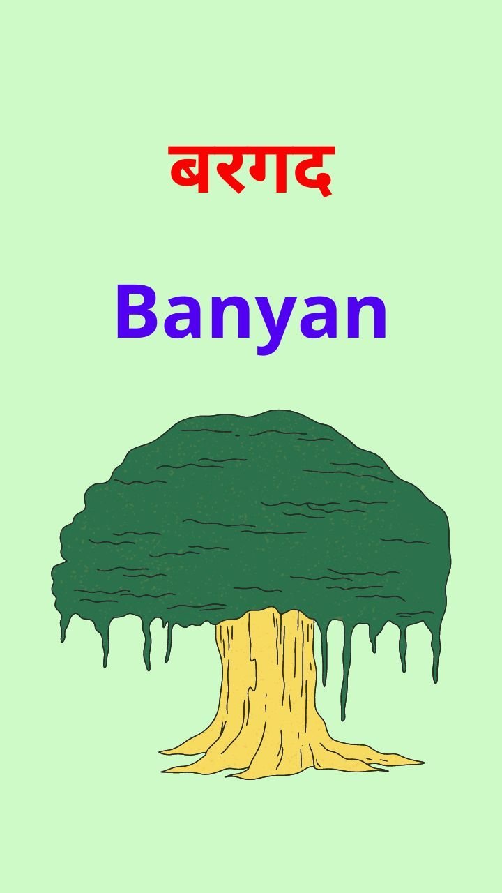 trees-names-in-hindi-and-english-hindi-me-jankariya