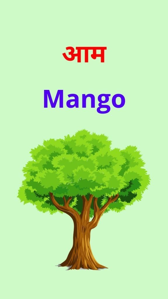 Trees Names In Hindi And English Hindi Me Jankariya trees-names-in-hindi-and-english-hindi-me-jankariya