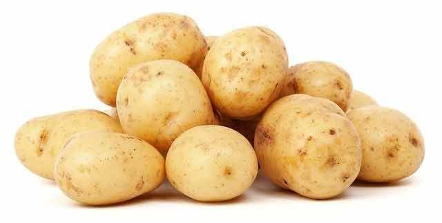 Potato
