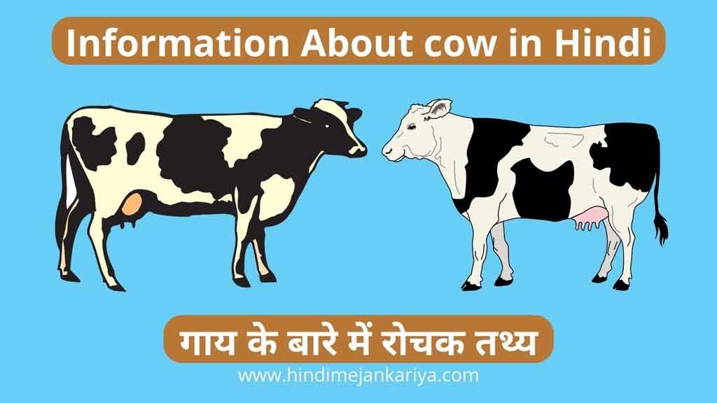 information about cow in hindi