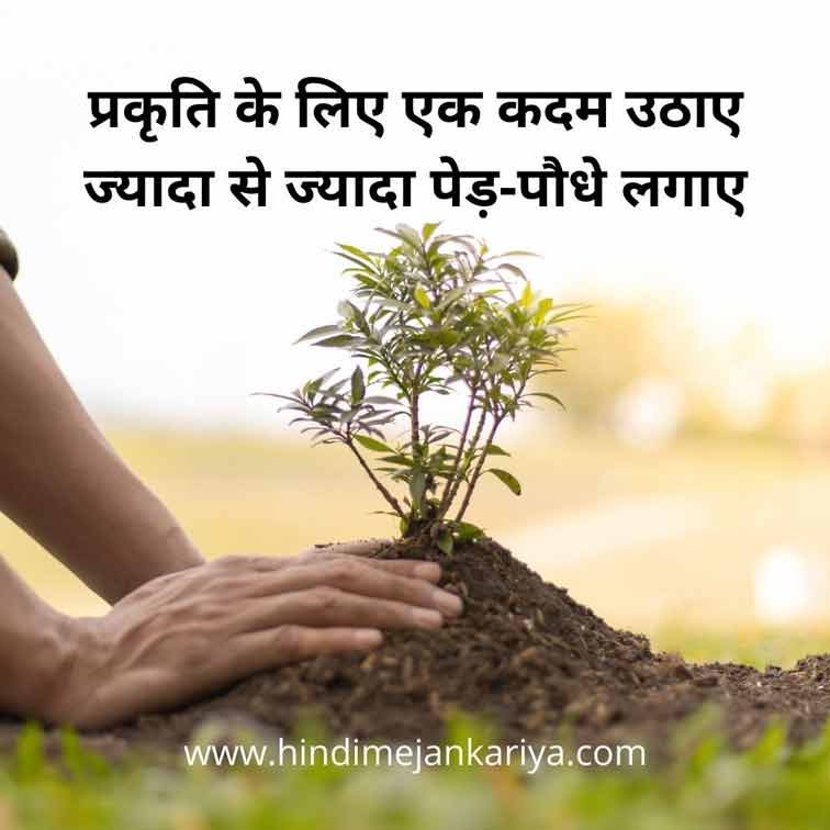 slogans in hindi on environment