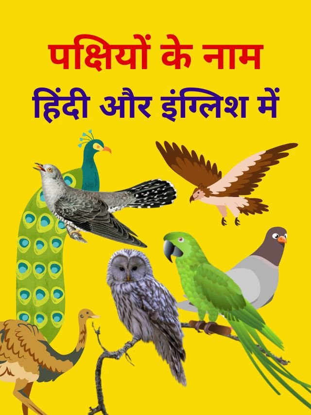 10-birds-name-in-hindi-and-english-hindi-me-jankariya