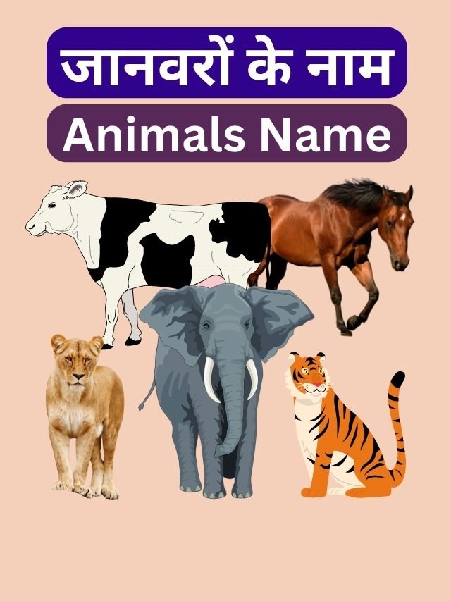 10 Animals Name in Hindi and English | जानवरों के नाम - Hindi Me Jankariya