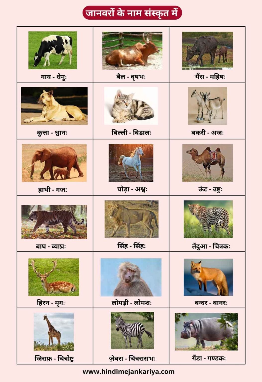 Wild Animals Name In Sanskrit