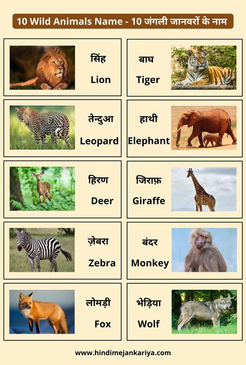 10 Jangli Janwar Ke Naam | 10 Wild Animals Name in Hindi and English